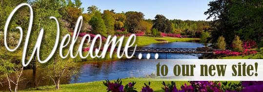 Welcome to our new site